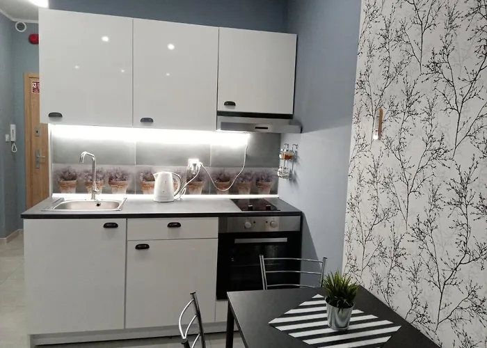 Apartamento Róża- Lotnisko