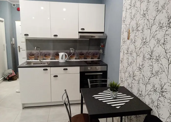 Róża- Lotnisko Apartamento Wrocław